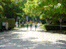 DSC04178.jpg